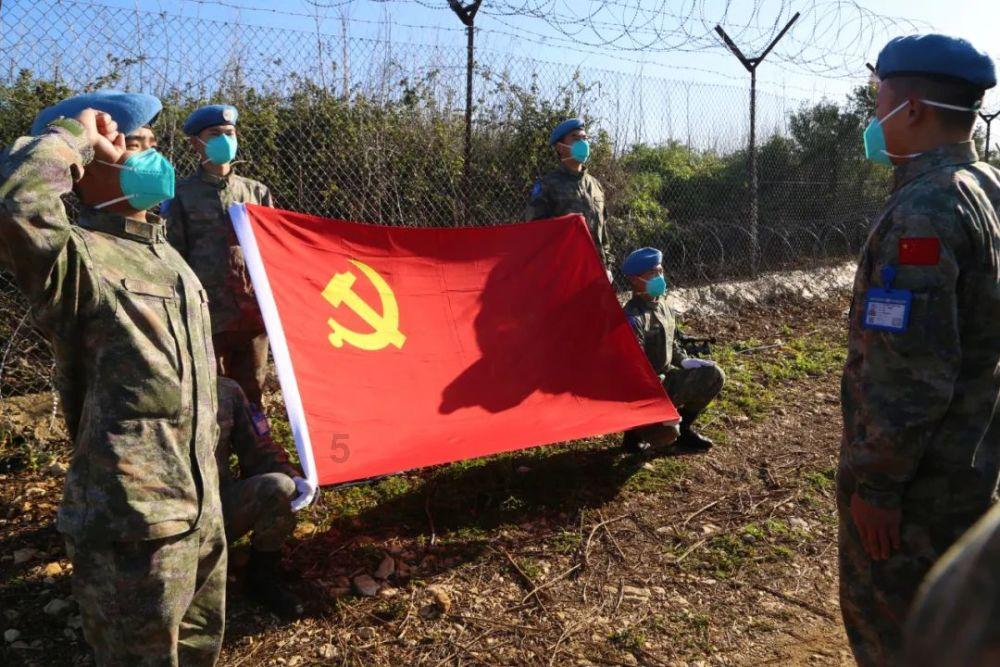 矮化密植大樱桃抢“鲜”上市了